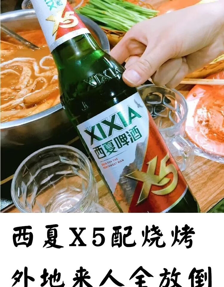 西夏啤酒 x5 大红瓶12瓶装口服液叉五嘉士伯旗下京雪花熟黄 12瓶装