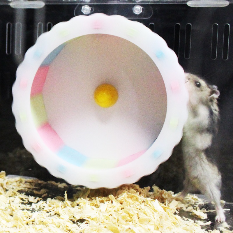 仓鼠跑轮转轮彩色风火滚轮大小号跑轮小宠物玩具用品 16.5cm彩色跑轮