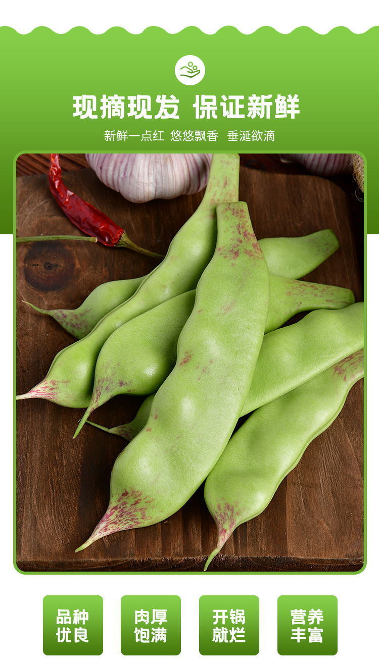 【现货现发】东北油豆角一点红油豆角开锅烂新鲜蔬菜 一点红2斤装【坏