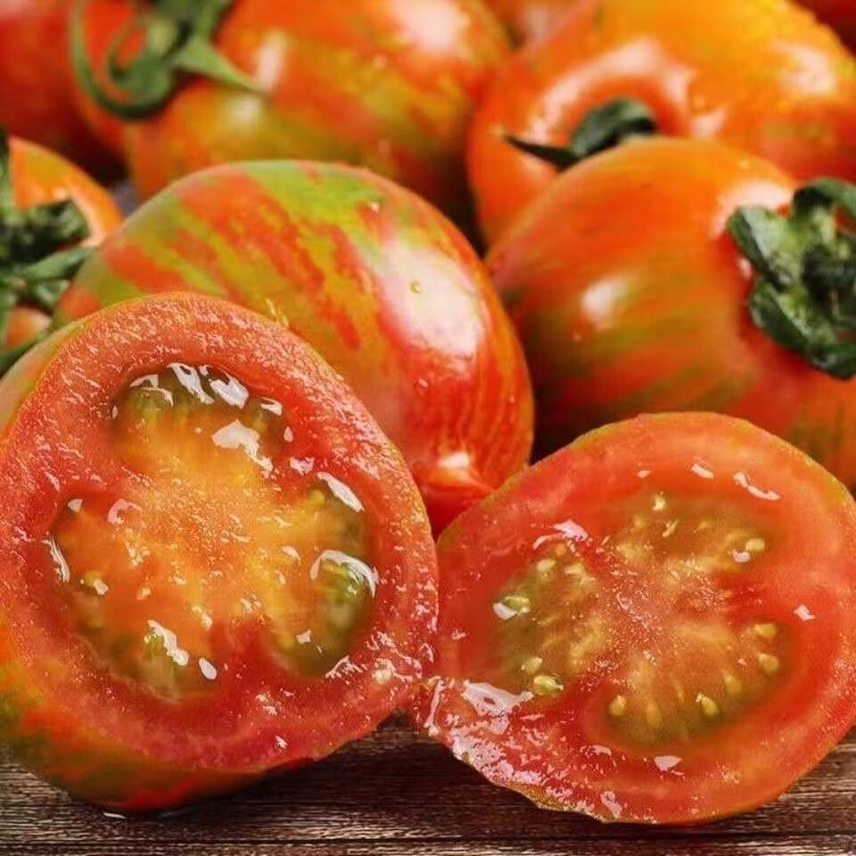 东北皮球柿子红黄皮球小番茄小西红柿春桃柿子农家小园自种 东北新开