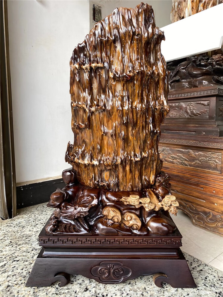 树化玉 玉石天然奇石原石装饰摆件冰种树化玉木化石观赏石景观石石头