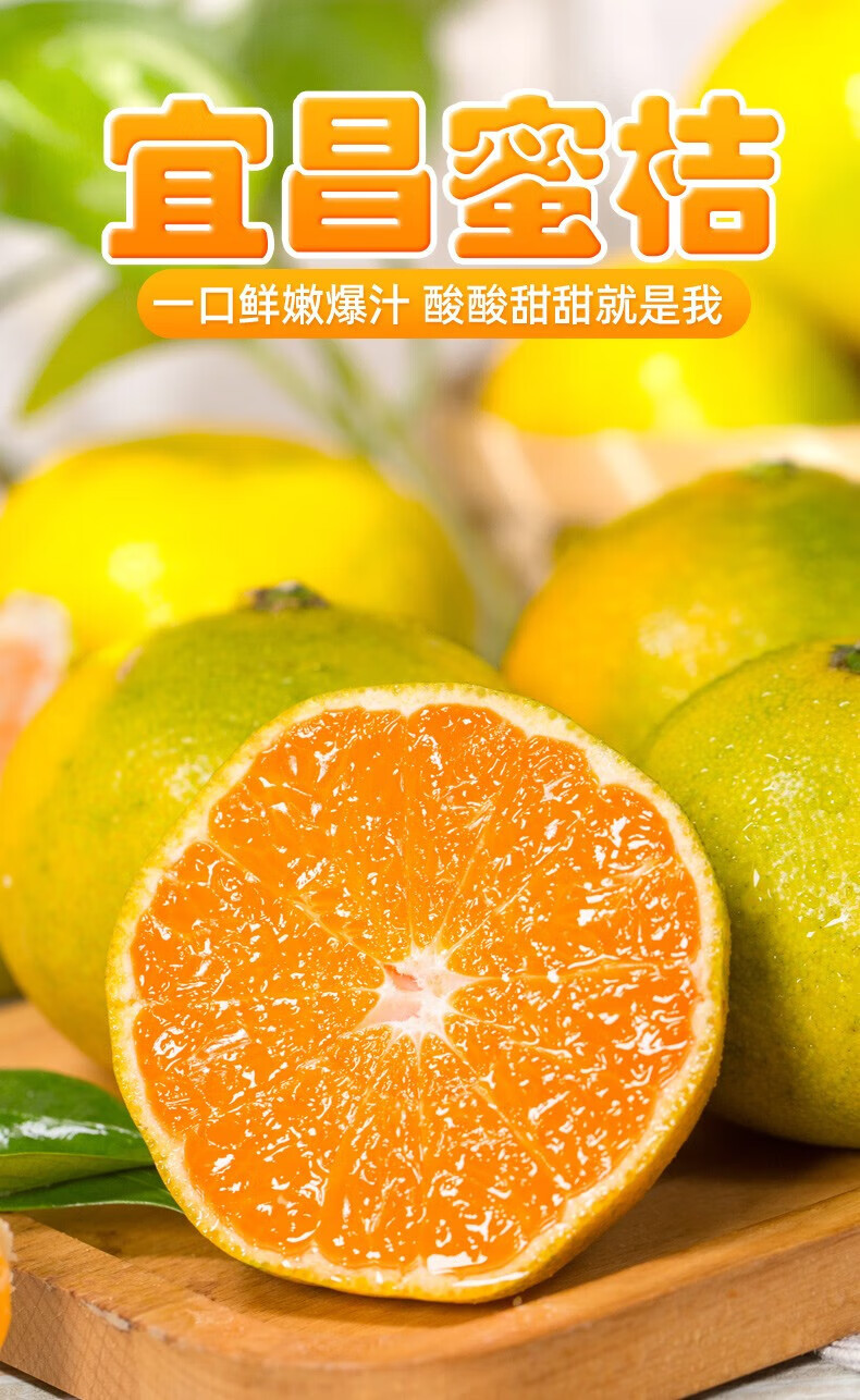 湖北宜昌窑湾蜜桔 精选果青黄薄皮蜜橘早熟无籽蜜柑橘子孕妇酸甜新鲜