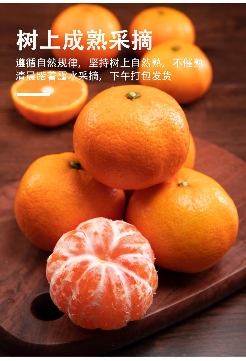 黄岩蜜桔几月成熟(黄岩蜜桔几月成熟上市) 黄岩蜜桔几月成熟(黄岩蜜桔几月成熟上市)