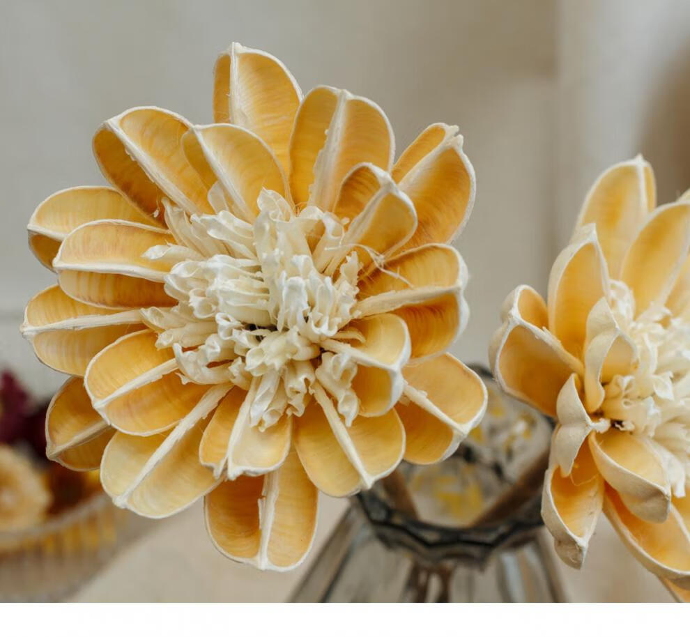 顾亲 大木棉干花花束家居装饰摆件玉兰球紫荆花网红干花摄影拍照道具