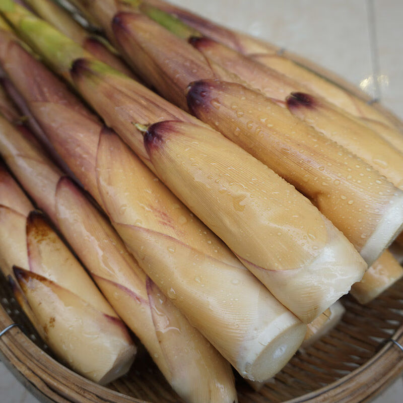 现货苦笋新鲜四川省乐山宜宾甜笋苦竹笋春笋嫩笋子带壳大笋7斤