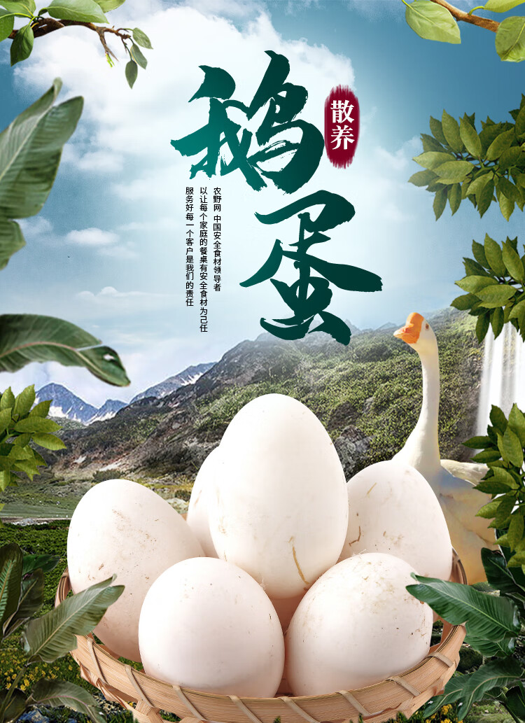 源外园鹅蛋新鲜孕妇正宗土鹅蛋农家大鹅蛋特大鲜鹅蛋大号生鹅蛋6枚