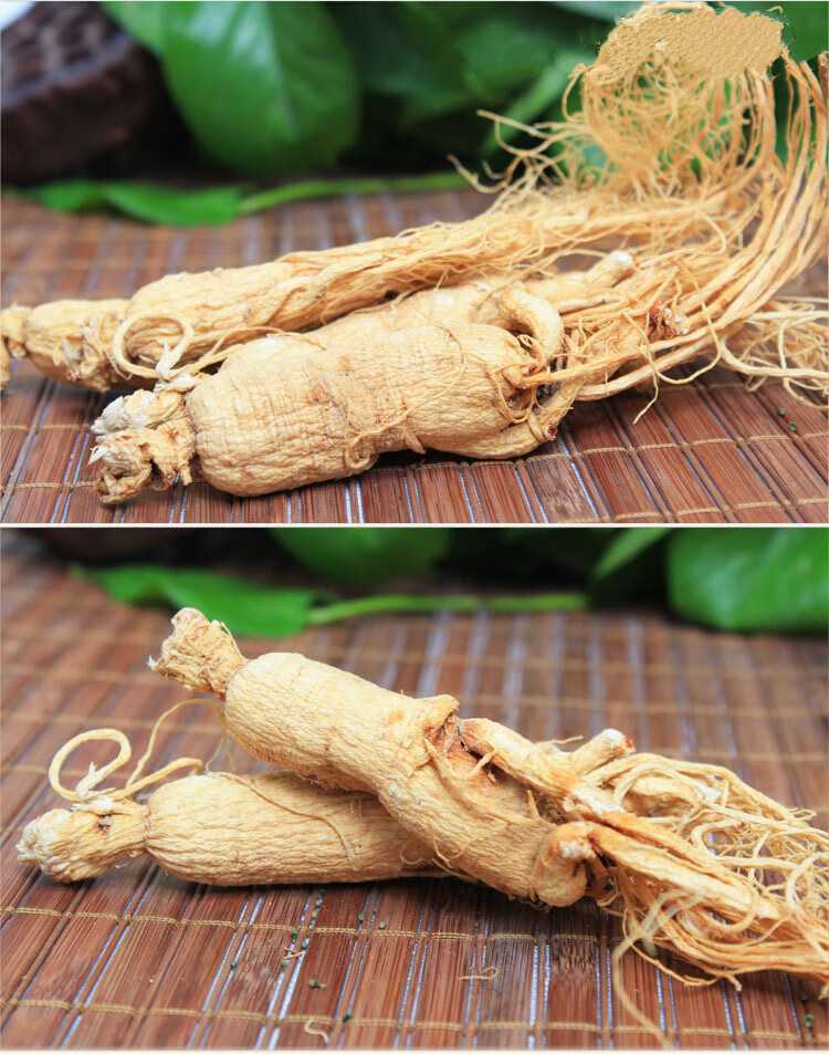 长白山人参人椮人身白参正宗生晒参整枝野生干的一等人参500g