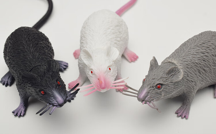 仿真老鼠塑胶模型老鼠模型空心白灰黑鼠拍摄写真道具塑胶整蛊吓人好玩