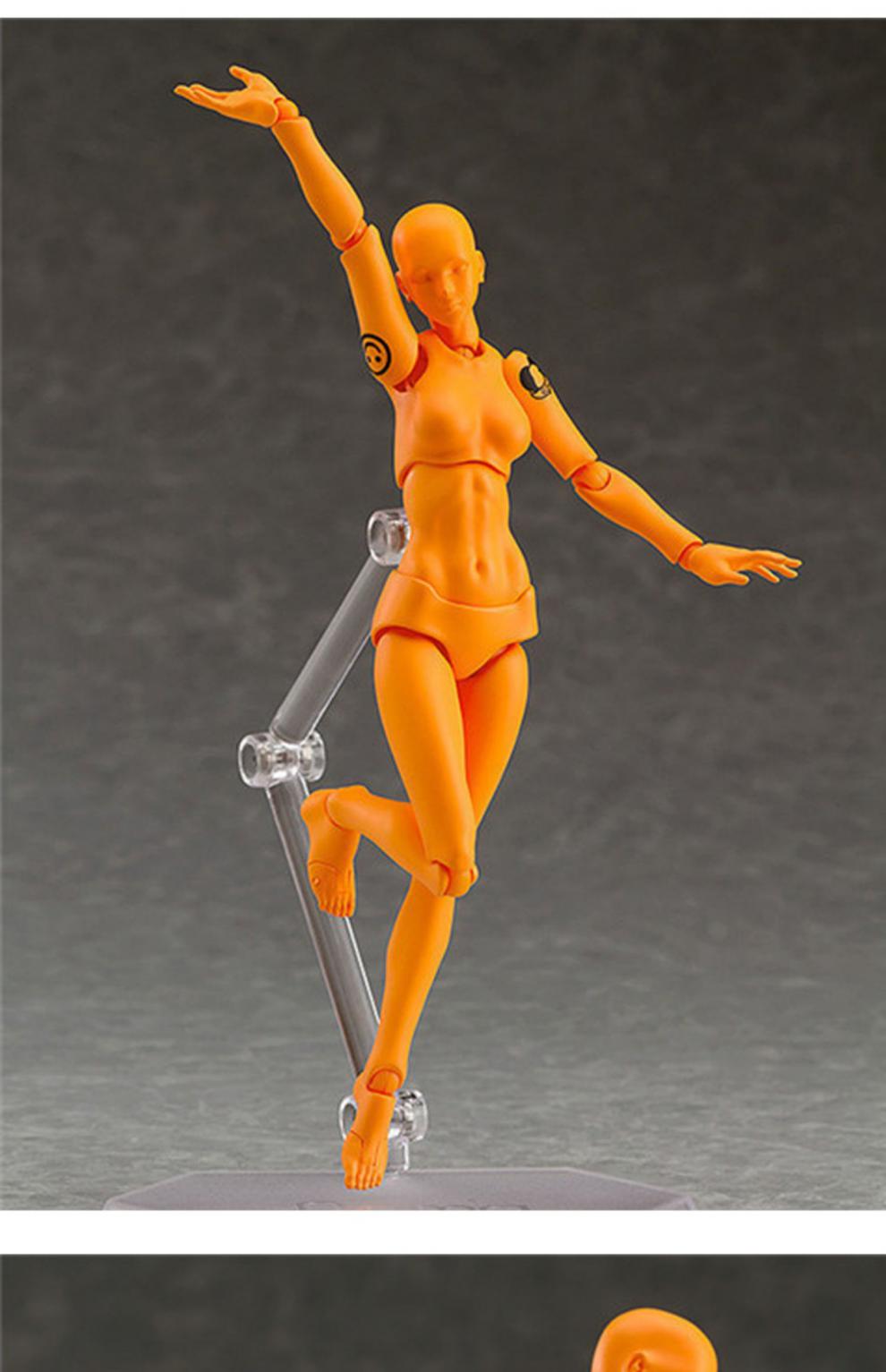 2022新品shf素体人体模型美术绘画参考男女工具摆件figma关节可动人偶