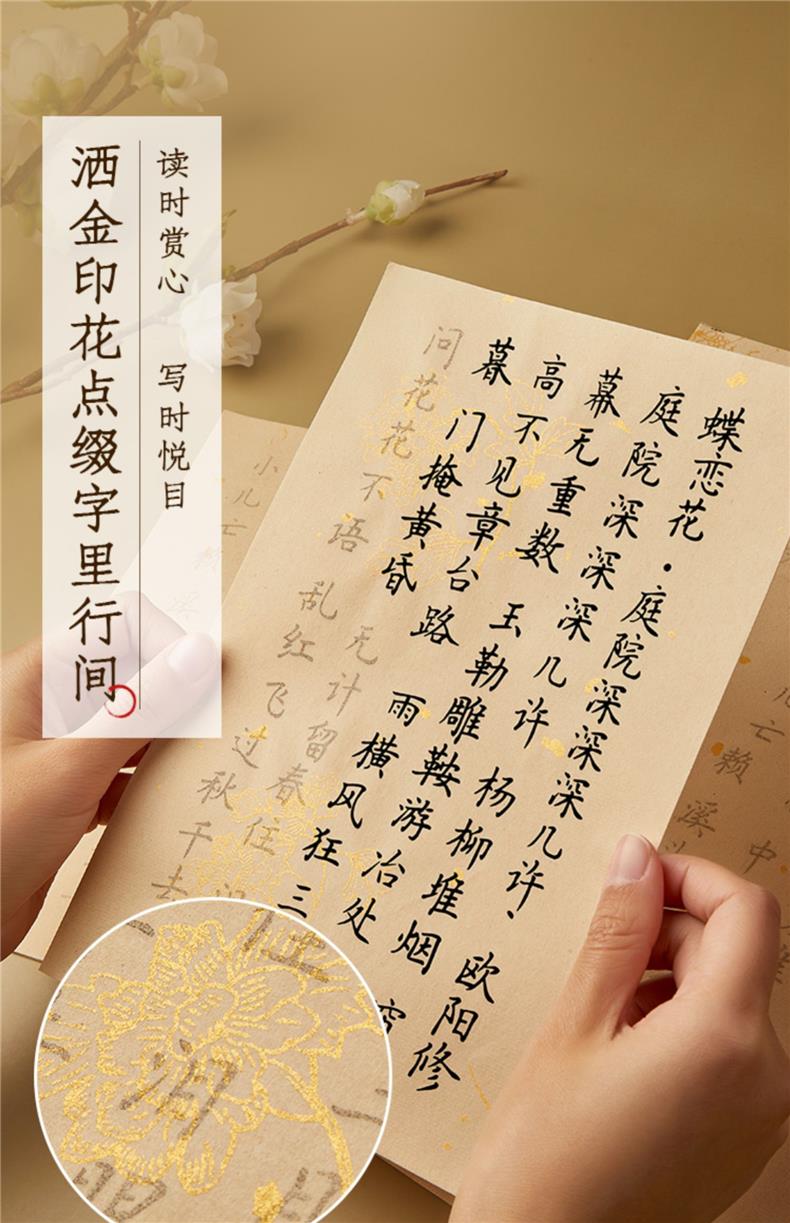 婕染簪花小楷毛笔字帖描红临摹练字专用软笔书法初学者入门套装楷书