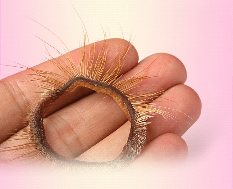 锁精环包皮阻复环阴茎套龟过长环切器入珠头套环羊眼圈套成人情趣性用