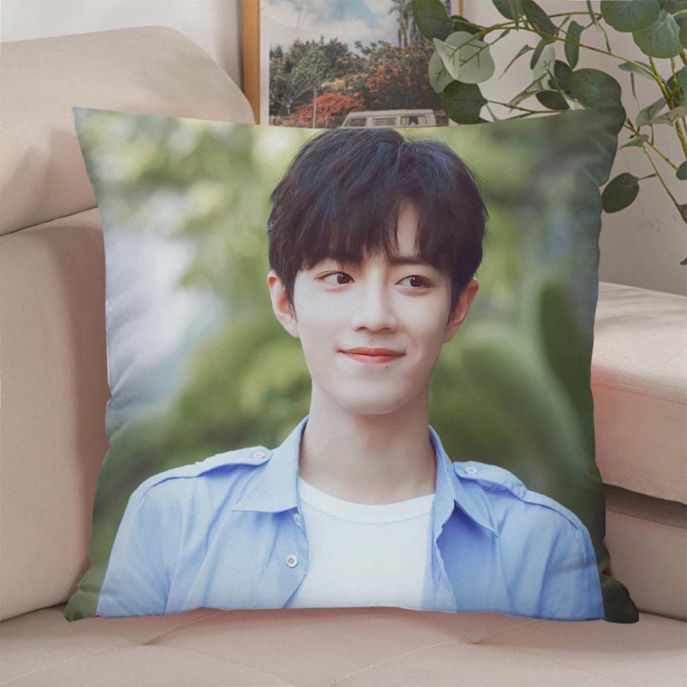肖战周边抱枕肖战抱枕周边双面靠枕真人同款diy生日礼物枕头舒适柔软