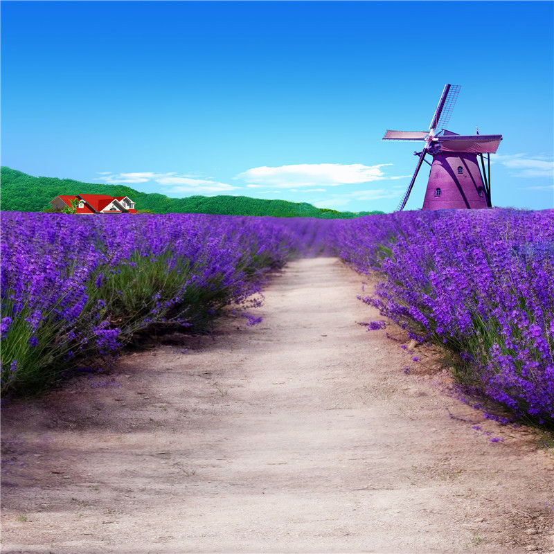 新品直播网红墙山水外景网红背景布主播3d直播背景墙风景视频直播间4