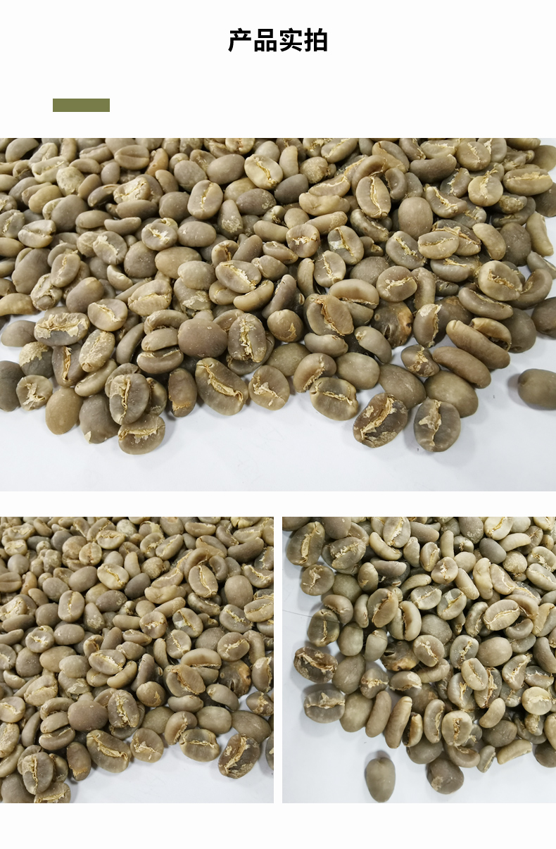 2021产季黄金曼特宁咖啡生豆原料19目印尼苏门答腊进口咖啡豆1kg1000g
