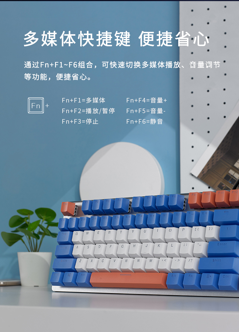 ee05d7c163a47815.jpg