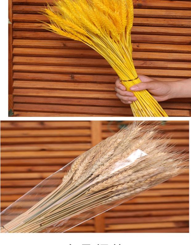 麦穗干花制作方法图片