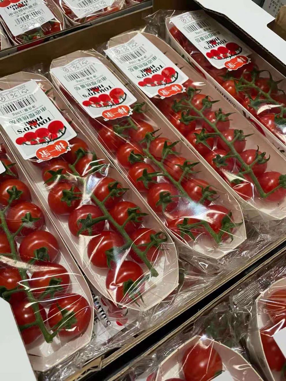 柿一家串收小番茄10盒礼盒装新鲜糖果小圣女果水果发顺丰f2盒尝鲜198g