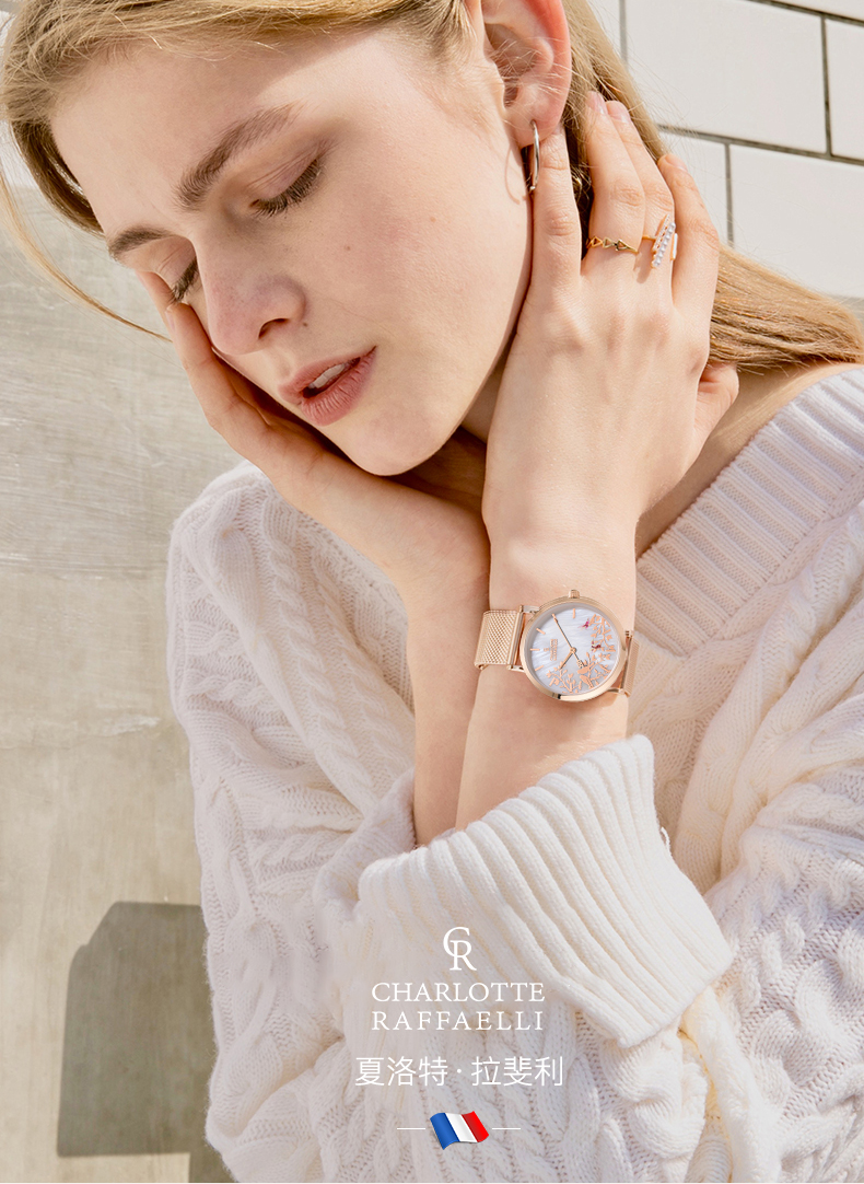 cr夏洛特法国小众品牌手表女大表盘女士轻奢时尚女表表女 crw002-1 36