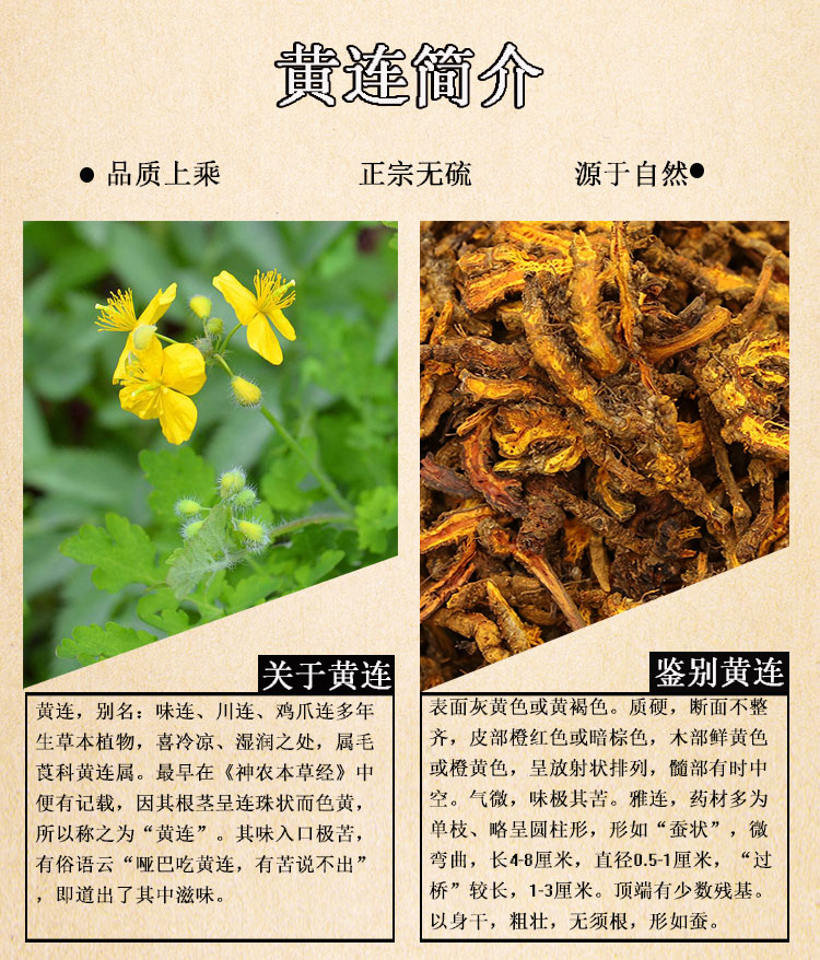 黄连无硫四川鸡爪黄连清水货不加重金属磨粉250克
