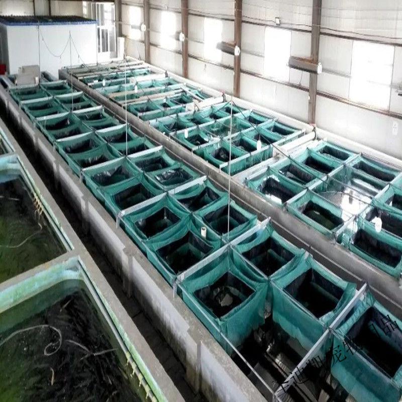 螃蟹网箱大闸蟹养殖专用加厚防逃网箱暂养箱养甲鱼网箱存螃蟹网箱3米