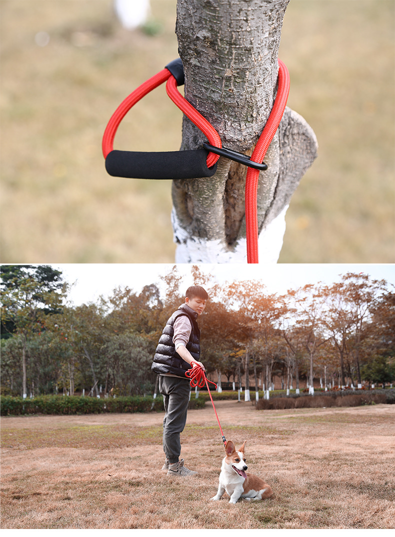 遛狗牵引绳加长加粗训犬跑步牵引绳2/3/5/10米狗狗牵引绳 10mm/黑色/