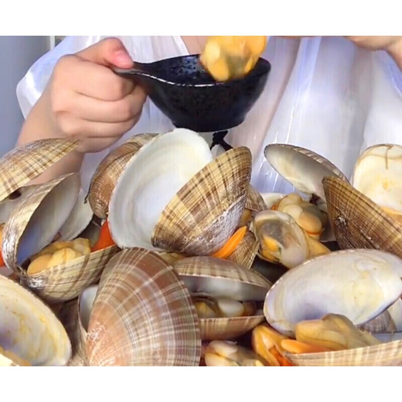 丹东特产海捕大纹贝大黄贝文贝黄金贝无沙扇贝黄蚬子4斤年货