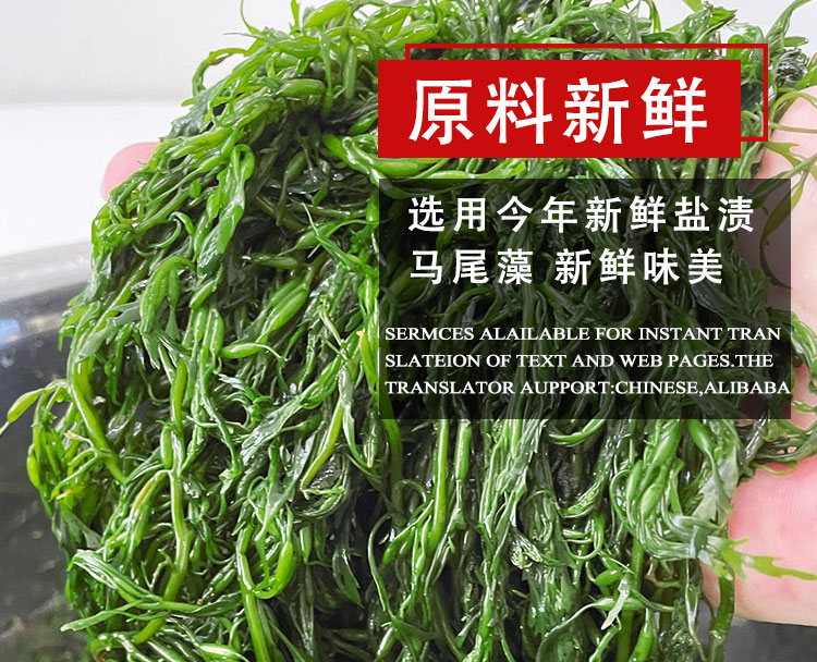 鞭炮笋新鲜海藻羊栖菜火锅菜海草5斤长寿菜出口盐渍荣成马尾藻.