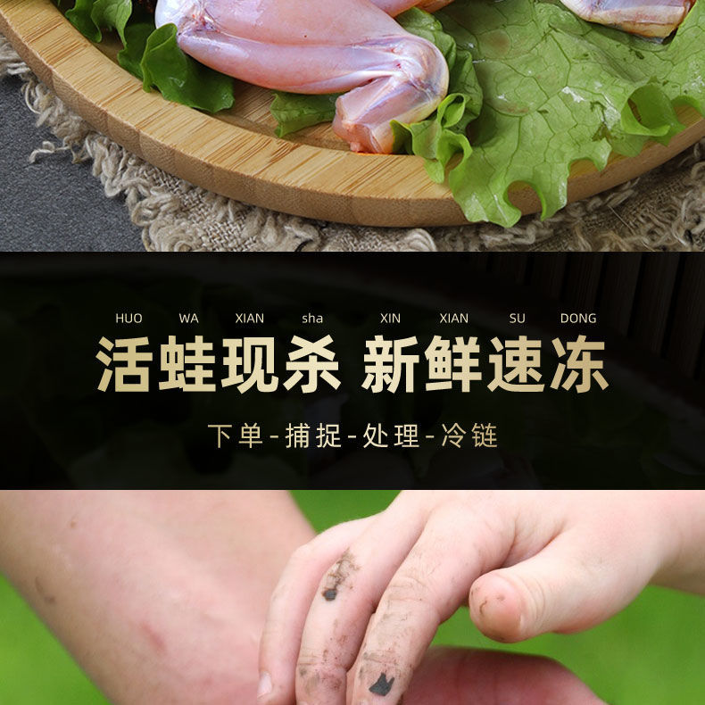 鲜活牛蛙现杀速冻大号肉去皮去头去内脏牛蛙肉批发精选中蛙现杀两斤