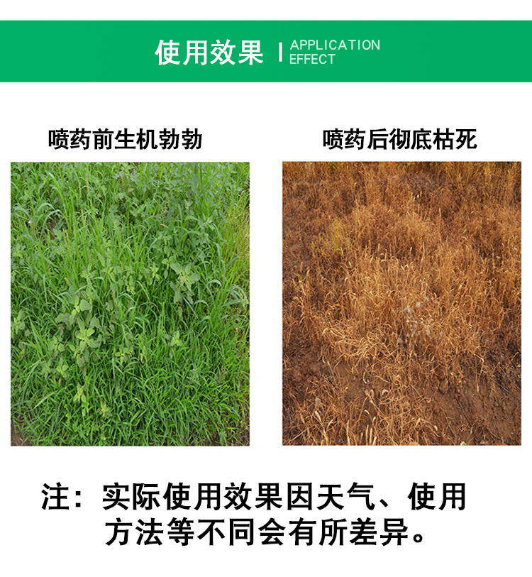 蓝火焱草甘膦铵盐41一年生恶性杂草农达除草剂农药烂根灭生除草200g