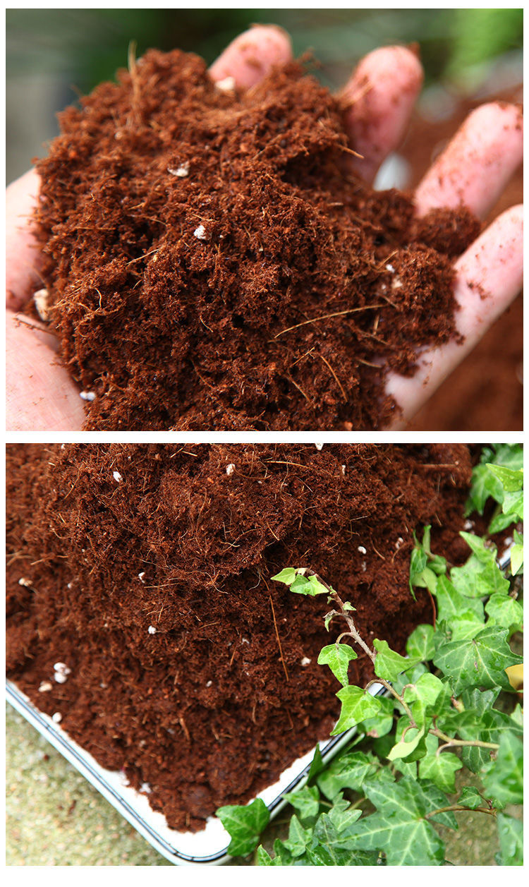 蝴蝶兰专用土蝴蝶兰有机营养土盆栽种植透气花泥专用土壤肥料dw