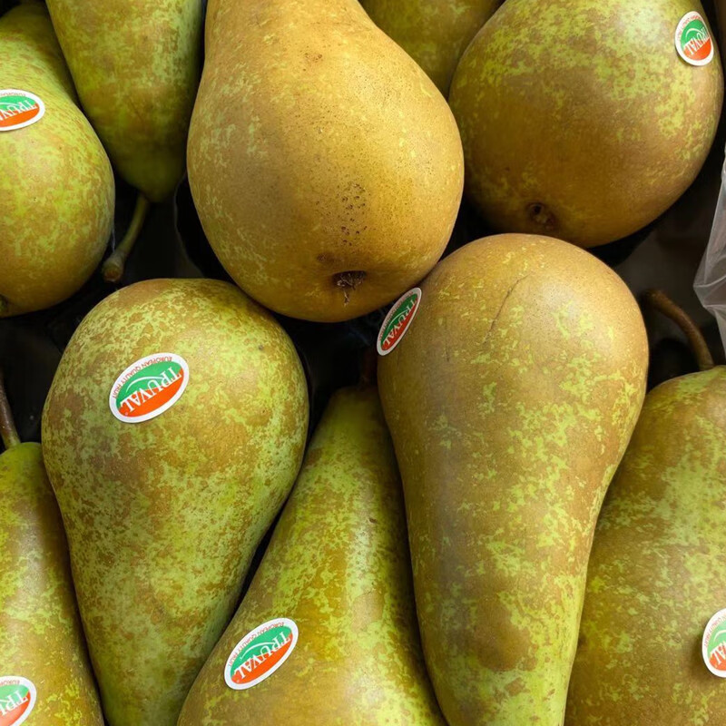 比利时啤梨啤梨大果4斤软糯香甜荷兰青啤梨新鲜儿童水果 精选大果