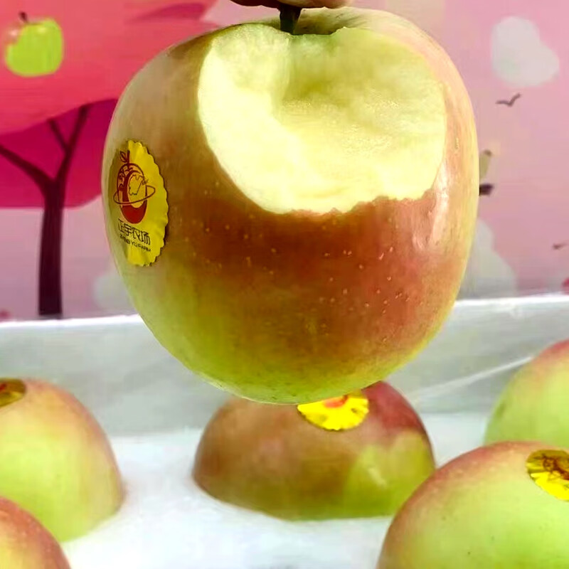 泰州领晟电子科技有限公司