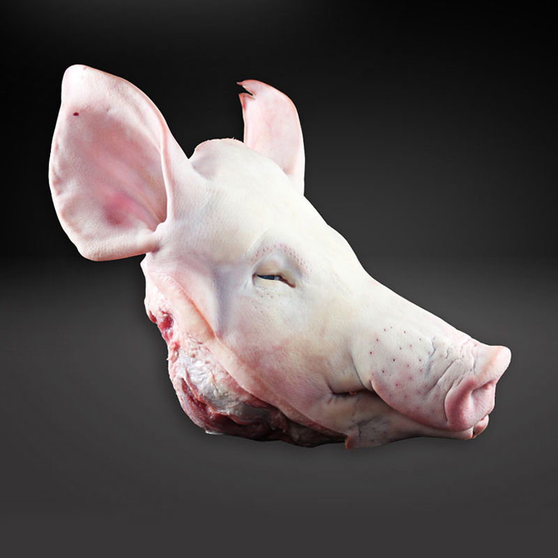 新鲜整只生猪农家带骨猪猪耳猪头猪嘴生猪头肉猪 整只猪头14斤【图片