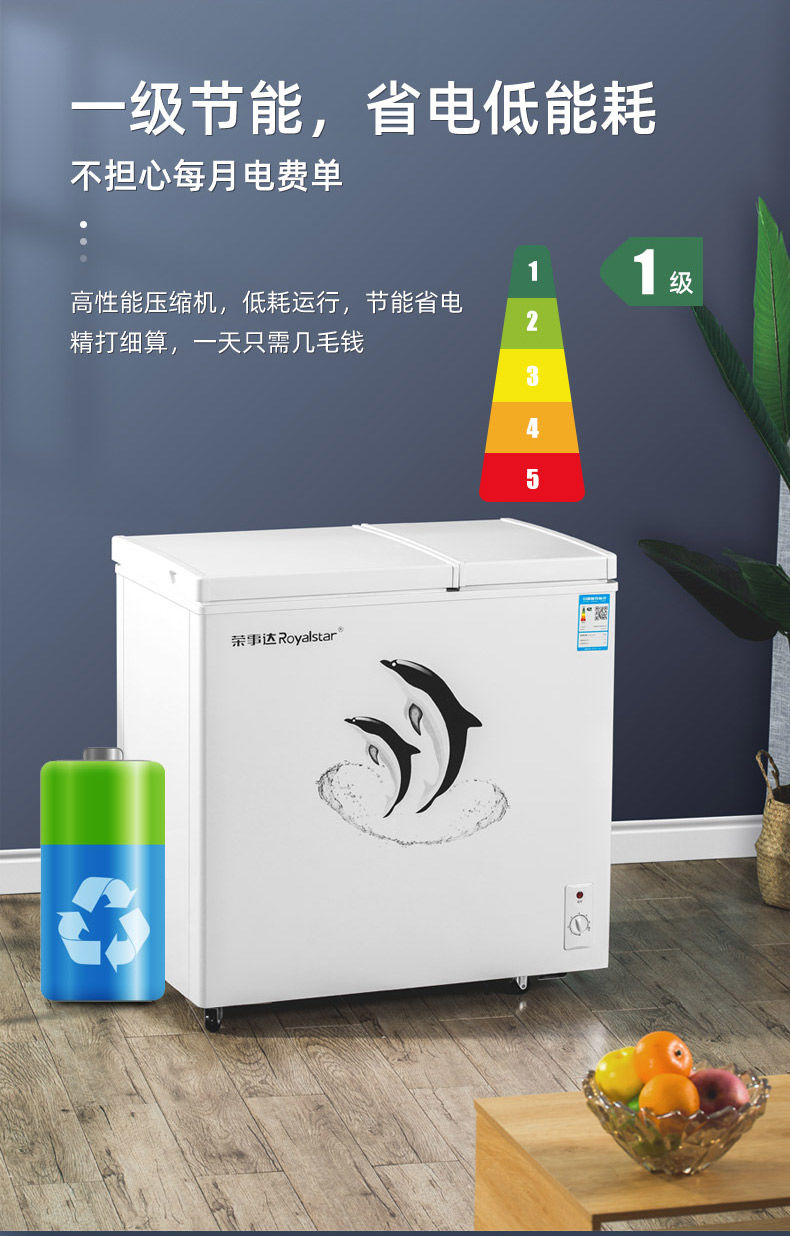 荣事达双温冰柜冷柜家用双门冷藏冷冻保鲜小型两用大容量商用节能摩鱼