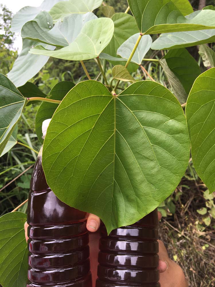 定制湘西桐油木器熟桐油木用防水防腐代替木油木地板用油网桐油飞高
