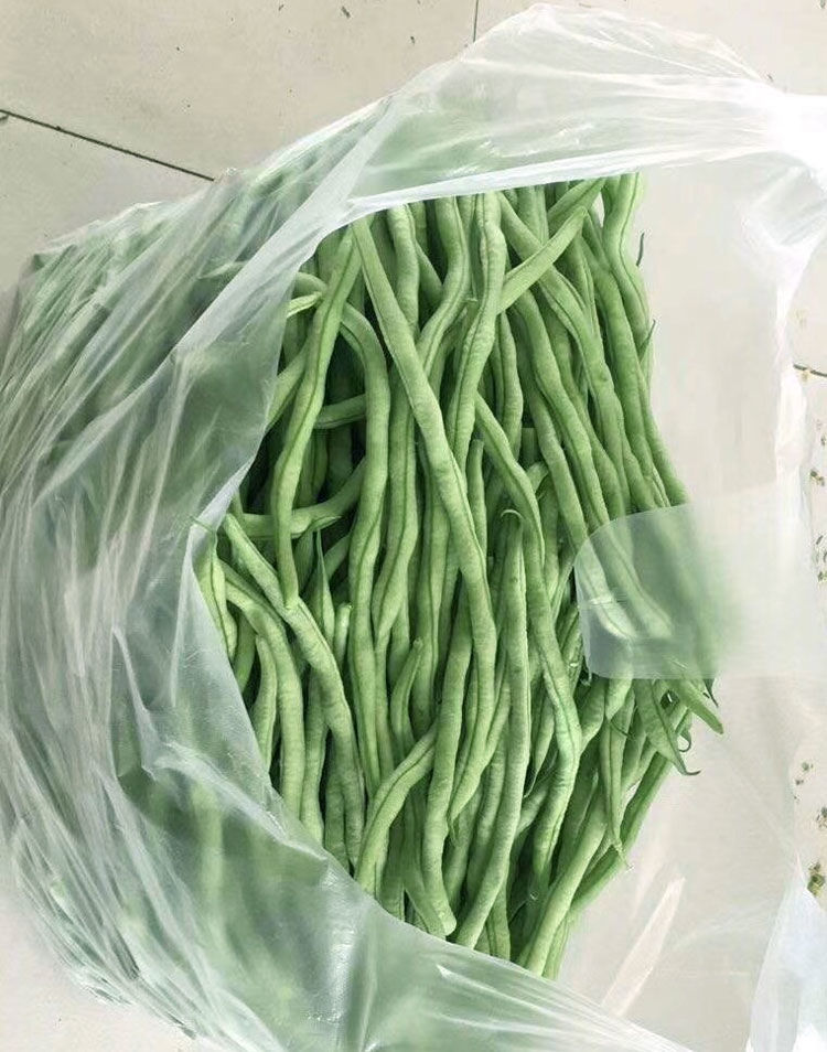 高产无筋架豆王种子泰国特长架豆绿芸豆农家春季四季种植蔬菜籽 拖车