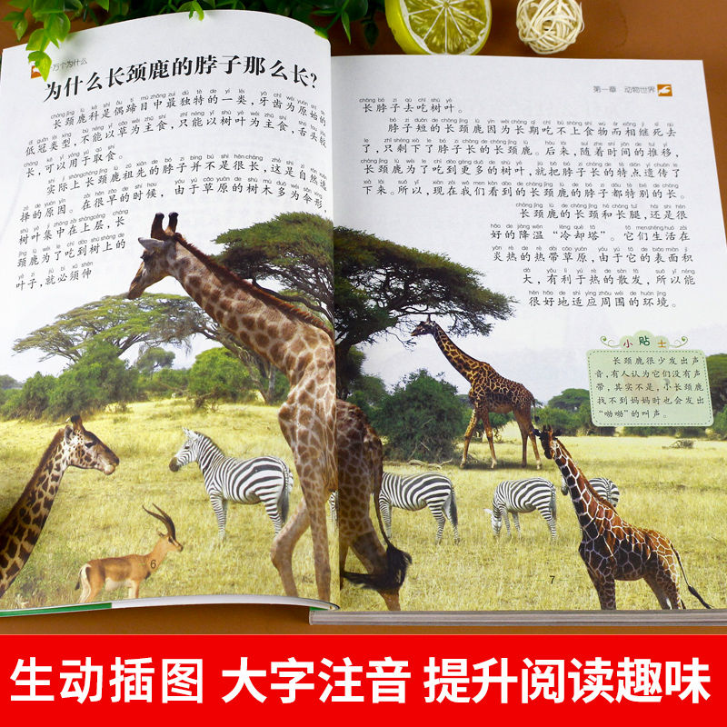 十万个为什么小学版注音儿童版少儿百科全书动物宇宙人幼儿0好孩子