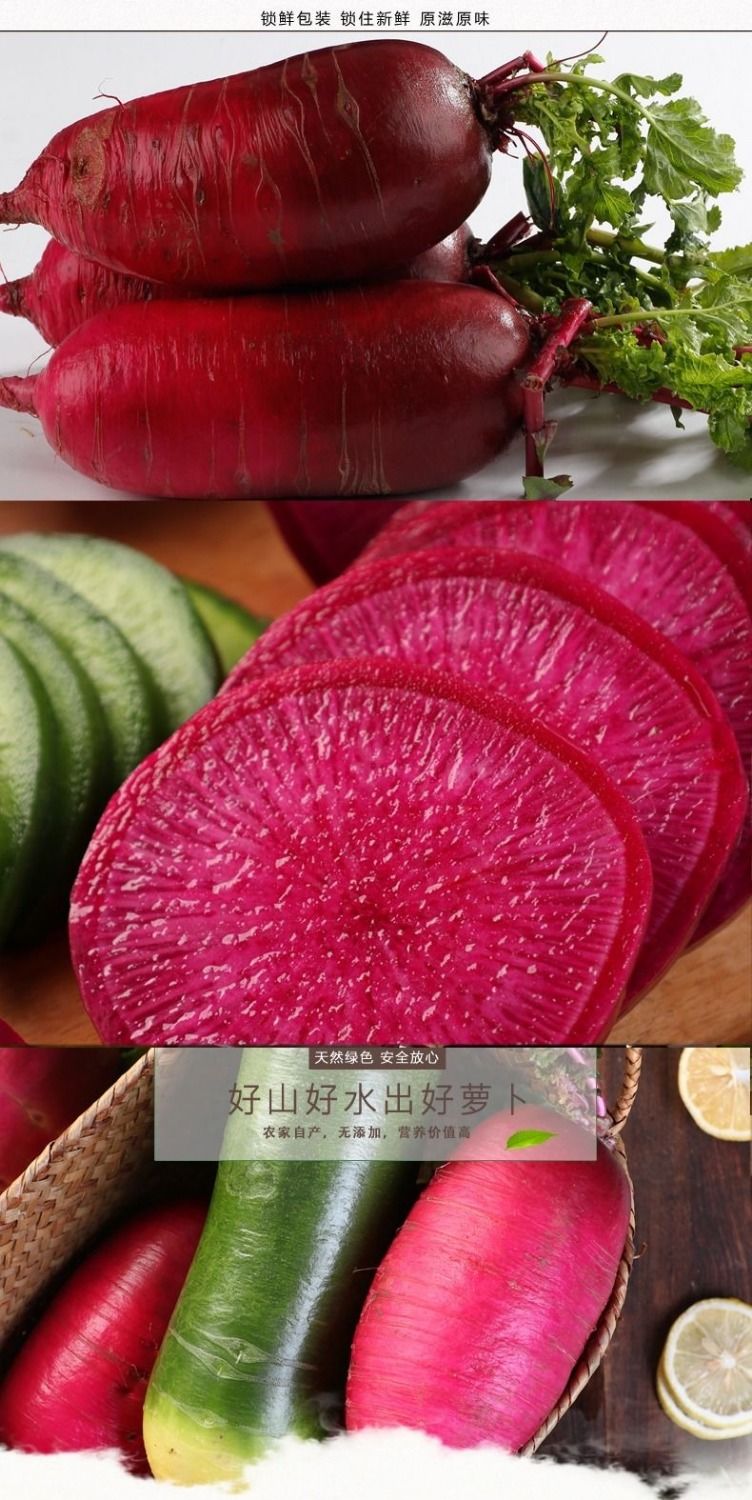 紫美人水果萝卜生吃甜脆新鲜凤梨潍坊萝卜沙窝萝卜潍县青红心萝卜潍坊
