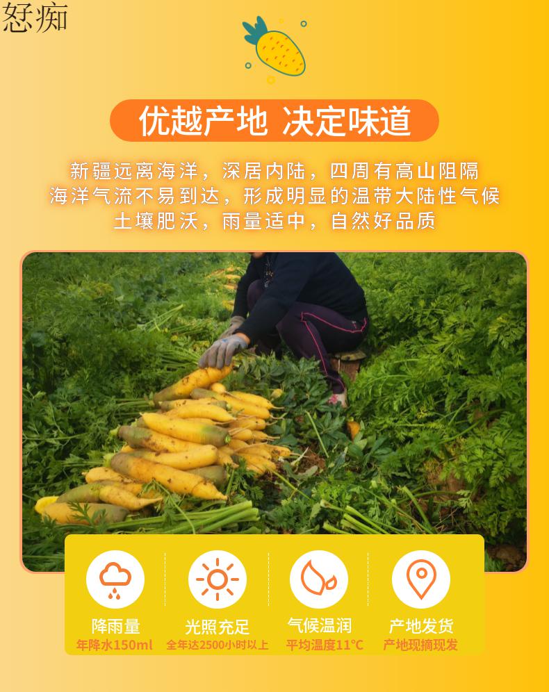 新疆特产黄萝卜胡萝卜绿色新鲜蔬菜农家果蔬手抓饭黄心新疆昌吉糖心黄