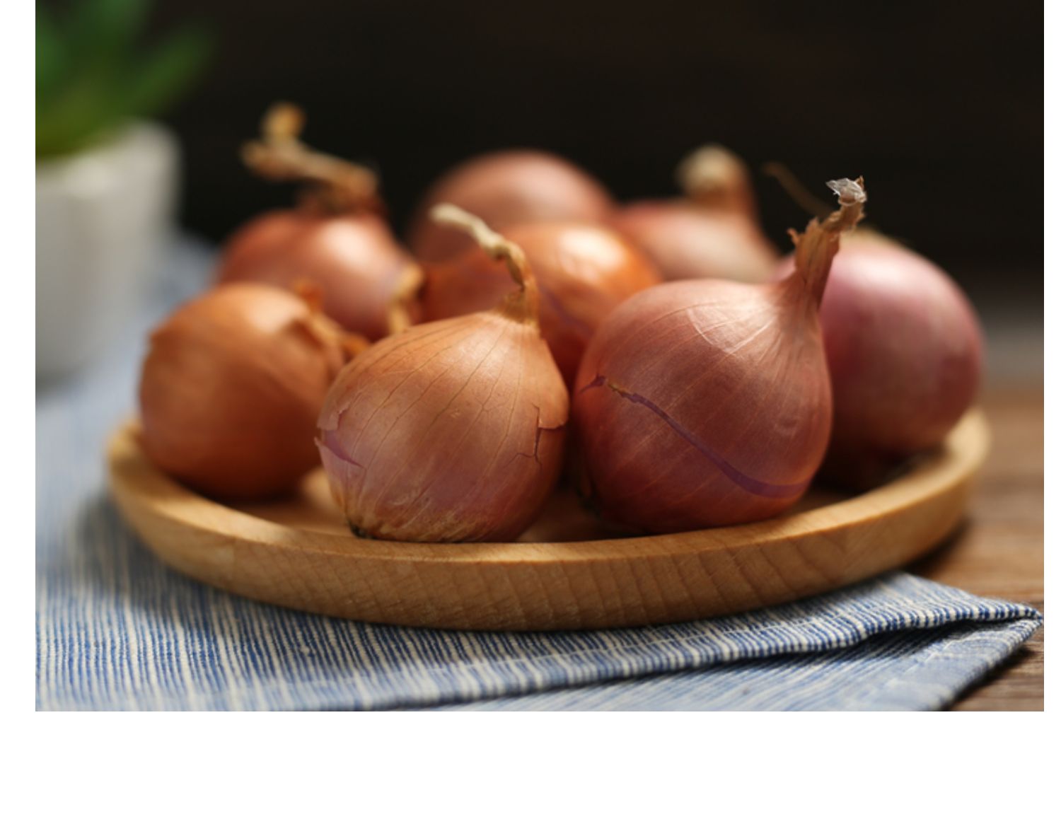 正宗东北新鲜小毛葱5斤迷你小圆洋葱农家鬼子葱笨洋葱红葱头生吃蘸酱