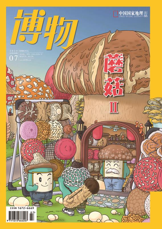 现货正版杂志蘑菇专辑博物杂志2020年7月刊第199期中国国家地理青少年