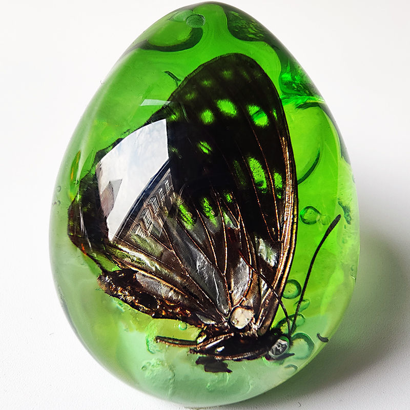 启珀昆虫标本虎年新款真昆虫标本真虫蝎子蝴蝶琥珀水滴形吊坠百搭挂件