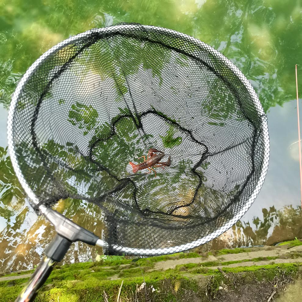 京闪送新款钓小龙虾工具户外儿童小孩钓小龙虾神器线组钩子钓虾杆金