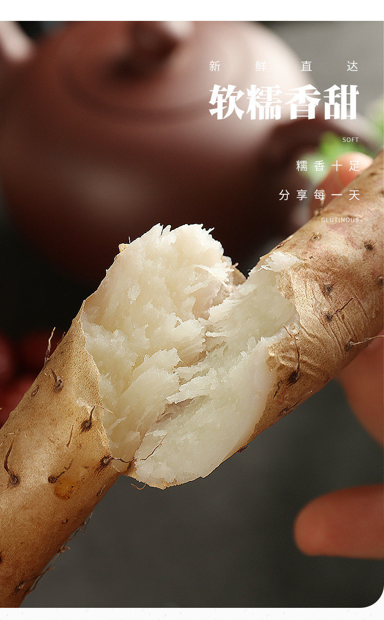 1【精选s级】正宗新鲜山药西施铁棍山药小白嘴山药新鲜蔬菜产地直发