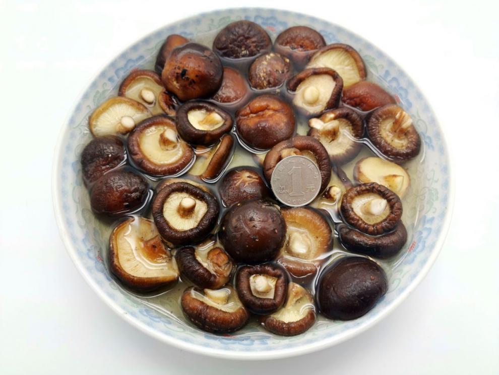 小香菇特小干货批发袖珍迷你小香菇仔肉厚野生新货袖珍金钱香菇仔批发