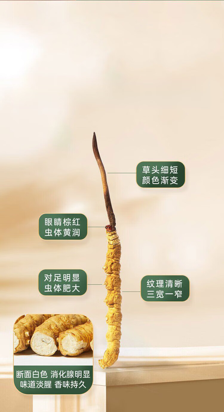 a74f54177b36e422.jpg