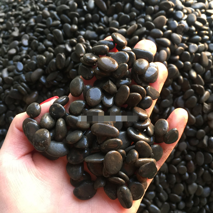 龟缸造景沙铁胆沙黑工砂1-11斤 水族装饰底沙乌龟石头鱼缸石子鳌虾沙