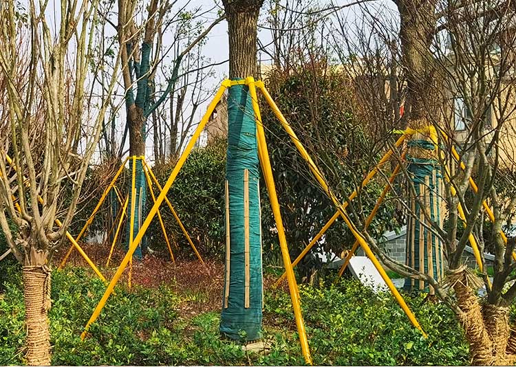 树木支撑固定器 套杯绑带树木防风防倒支撑架木树支架支撑固定器 4个