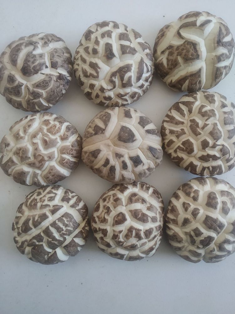 花菇干货500g肉厚香菇特级大花茹冬菇小蘑菇农香茹100g 精花菇2-3cm