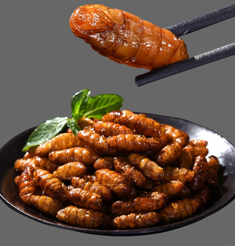 【罐装即食蚕蛹】金丝蛹香酥蚕蛹干货土特产桑蚕蛹下酒菜180g/80g 煮